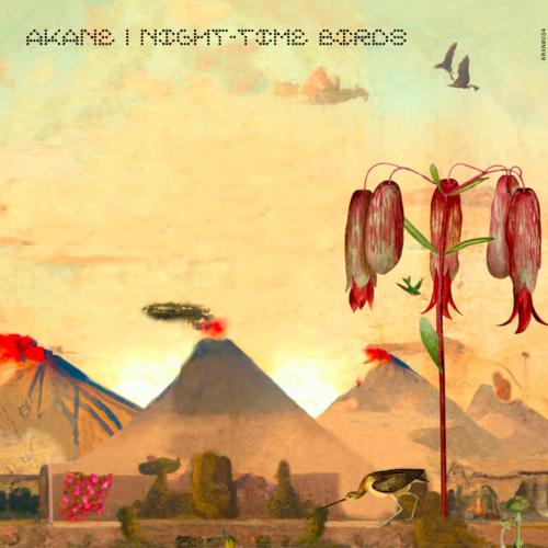 Portada Night-Time Birds